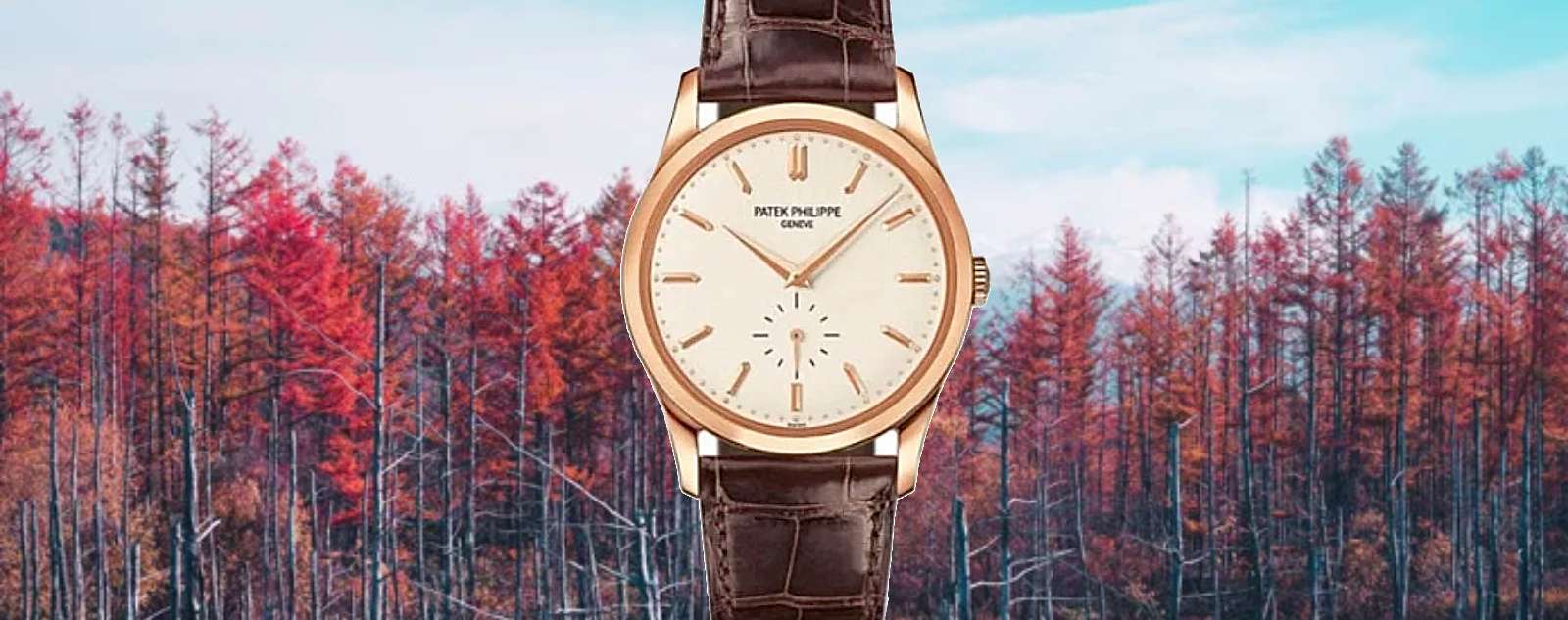 Discover the Elegance of Patek Philippe Calatrava 5196: A Classic Investment Piece